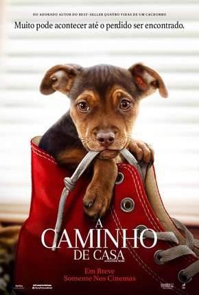 Filme A Caminho de Casa - Legendado Download Filme A Caminho de Casa - Legendado Torrent