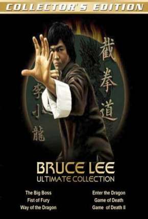 Filme Bruce Lee - Coleção com Todos os Filmes Download Filme Bruce Lee - Coleção com Todos os Filmes Torrent