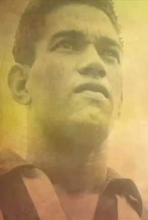 Filme O Mito de Garrincha Torrent