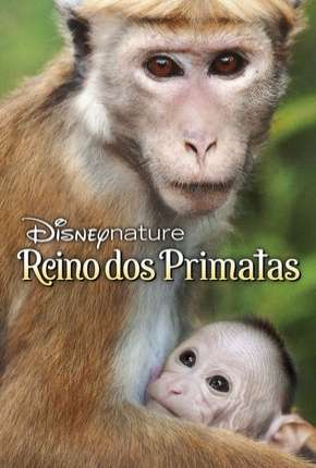 Filme O Reino dos Primatas Torrent