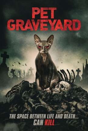 Filme Pet Graveyard - Legendado Download Filme Pet Graveyard - Legendado Torrent