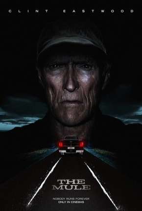 Filme A Mula - DVD-R Torrent