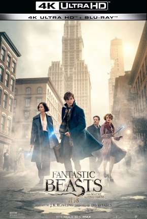 Filme Animais Fantásticos e Onde Habitam - 4K Torrent