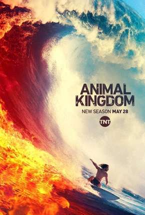 Série Animal Kingdom - 4ª Temporada Legendada Torrent