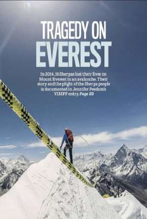 Filme Avalanche no Everest - Discovery Channel Torrent