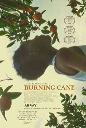 Filme Burning Cane - Legendado Torrent