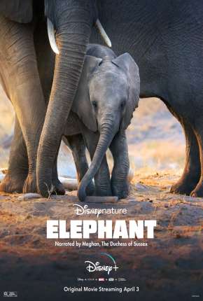 Filme Elefante - Legendado Torrent