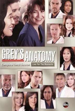 Série Greys Anatomy - 10ª Temporada - Completa Torrent