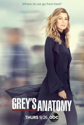 Série A Anatomia de Grey - Greys Anatomy - 16ª Temporada Torrent
