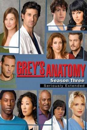 Série Greys Anatomy - 3ª Temporada - Completa Torrent
