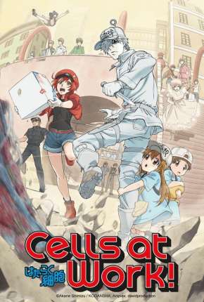 Anime Hataraku Saibou - Cells at Work Download Anime Hataraku Saibou - Cells at Work Torrent
