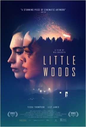 Filme Little Woods - Legendado Torrent
