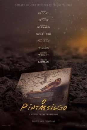Filme O Pintassilgo Torrent