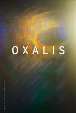 Filme Oxalis - Legendado Torrent