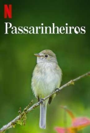 Filme Passarinheiros - Birders Torrent
