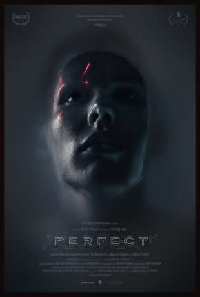 Filme Perfect - Legendado Torrent