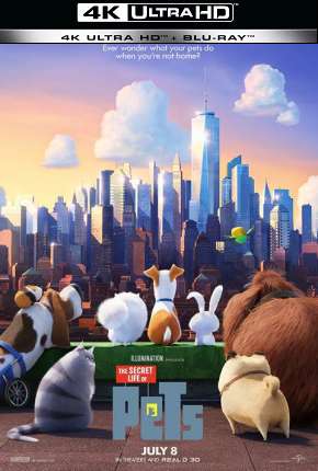 Filme Pets - A Vida Secreta dos Bichos - 4K Torrent