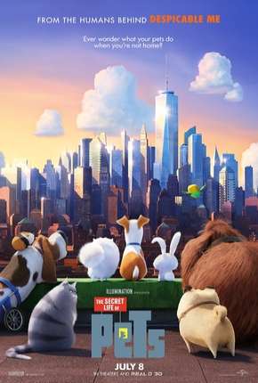 Filme Pets - A Vida Secreta dos Bichos BD-R Torrent