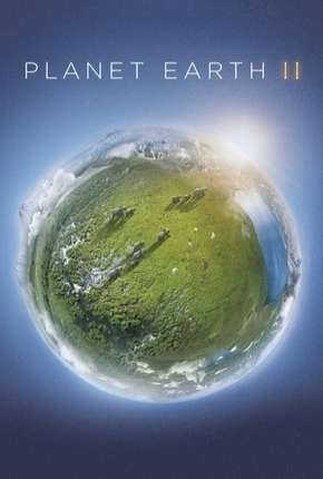 Série Planeta Terra - 2ª Temporada Torrent