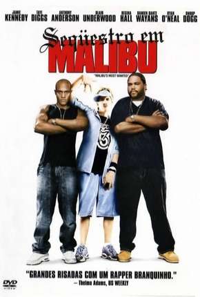 Filme Seqüestro em Malibu Torrent