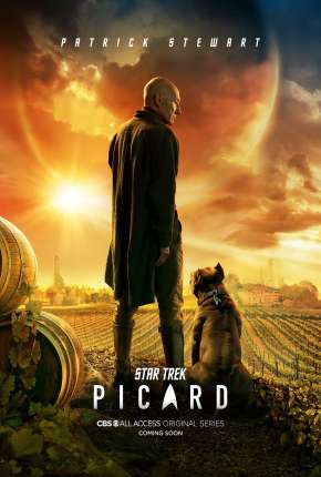 Série Star Trek - Picard - 1ª Temporada Torrent