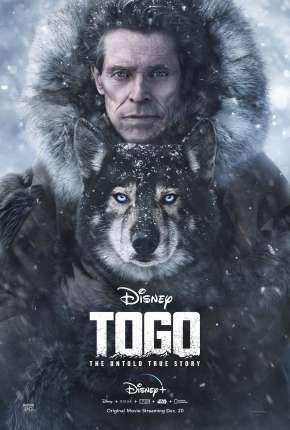 Filme Togo Torrent