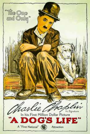 Filme Vida de Cachorro - Legendado Torrent