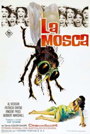Filme A Mosca da Cabeça Branca Torrent