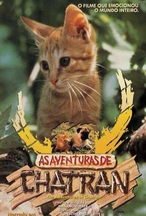 Filme As Aventuras de Chatran Torrent