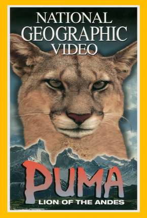 Filme Puma - Leão dos Andes - Legendado Torrent