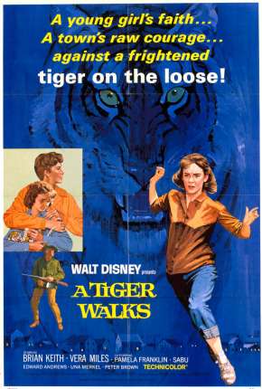 Filme Um Tigre Caminha pela Noite Torrent
