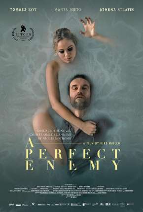 Filme A Perfect Enemy - Legendado Download Filme A Perfect Enemy - Legendado Torrent