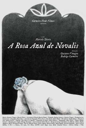 Filme A Rosa Azul de Novalis Torrent