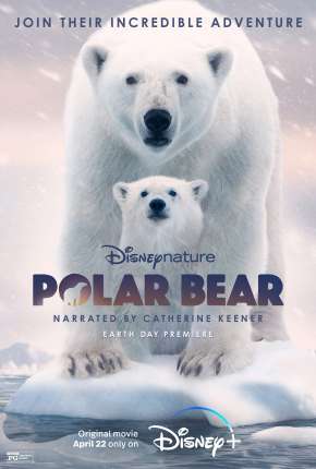 Filme A Ursa Polar Torrent