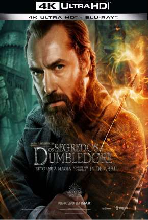Filme Animais Fantásticos - Os Segredos de Dumbledore 4K Torrent