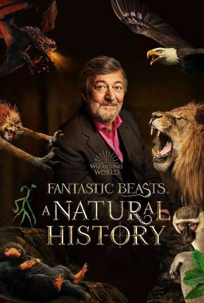 Filme Animais Fantásticos - Uma História Natural Torrent