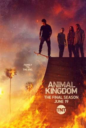 Série Animal Kingdom - 6ª Temporada Legendada Torrent
