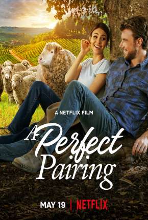 Filme Combinação Perfeita Download Filme Combinação Perfeita Torrent