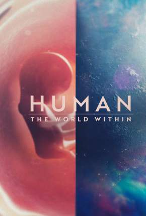 Série Corpo Humano - Nosso Mundo Interior - 1ª Temporada Completa Torrent