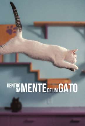 Filme Dentro da Mente de um Gato - Legendado Torrent