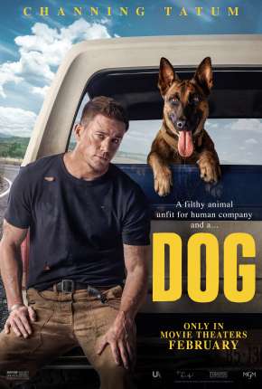 Filme Dog - Legendado Torrent