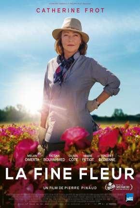 Filme Entre Rosas Torrent