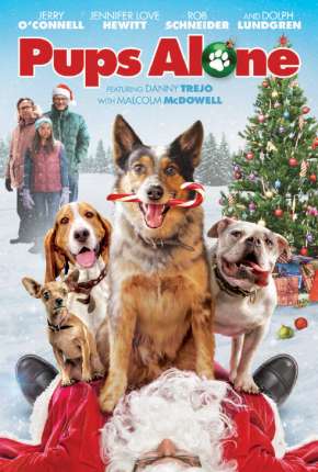 Filme Esqueceram de Nós Torrent