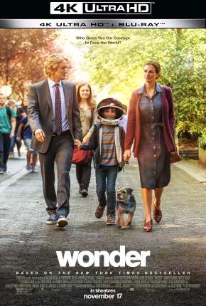 Filme Extraordinário - 4K Torrent