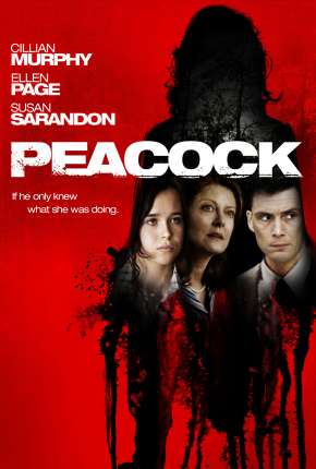 Filme Face Oculta Torrent