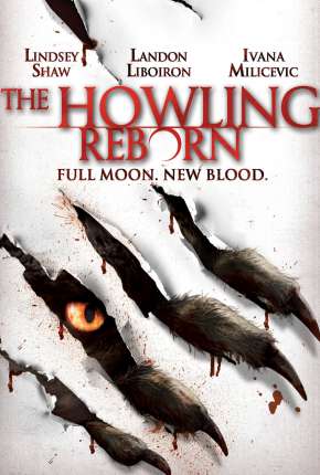 Filme Gritos de Horror - O Renascimento Torrent