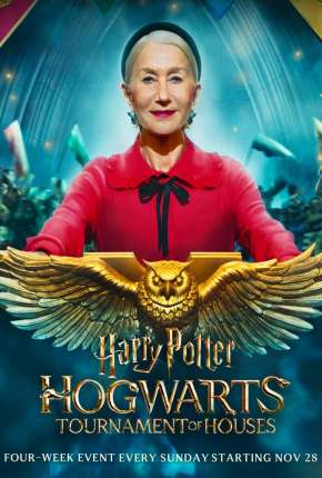 Série Harry Potter - O Campeonato das Casas de Hogwarts 1ª Temporada Torrent