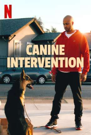 Série Intervenção Canina - 1ª Temporada Completa Torrent