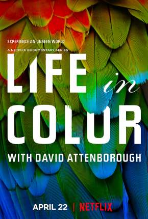 Série Life In Colour - 1ª Temporada Completa Torrent