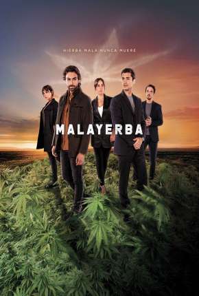 Série MalaYerba - 1ª Temporada Torrent